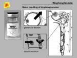 img-Bisphosphonates-0013.jpg