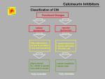 img-Calcineurin inhibitors-0006.jpg