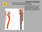 img-Calcineurin inhibitors-0008.jpg