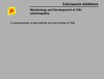 img-Calcineurin inhibitors-0023.jpg