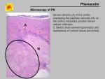 img-phenacetin-0038.jpg