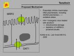 img-Tenofovir-0011.jpg